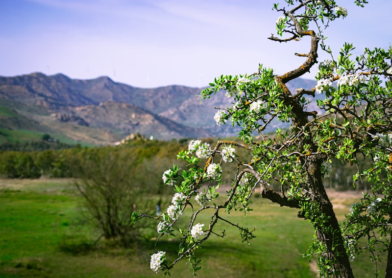 Borsada En Ucuz Hisseler 2024 - 1 TL'nin Altındaki Hisseler! 1 Borsada En Ucuz Hisseler 2024 - 1 TL'nin Altındaki Hisseler!