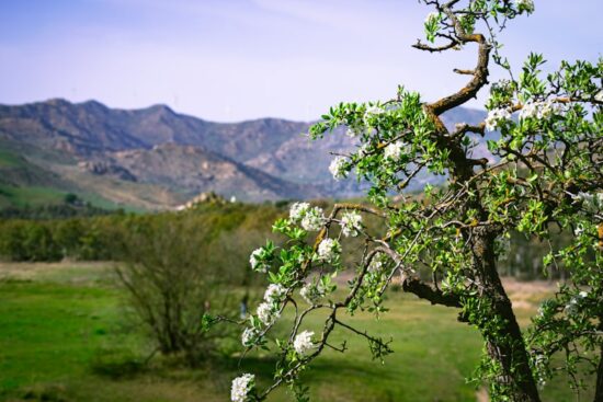 En Ucuz Coinler 2024 - En Düşük Coinler - Uygun Fiyat!